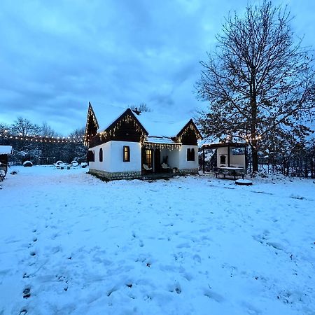 Cuib Din Fagaras Villa Avrig Exterior foto