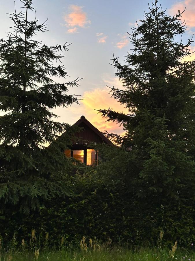 Cuib Din Fagaras Villa Avrig Exterior foto