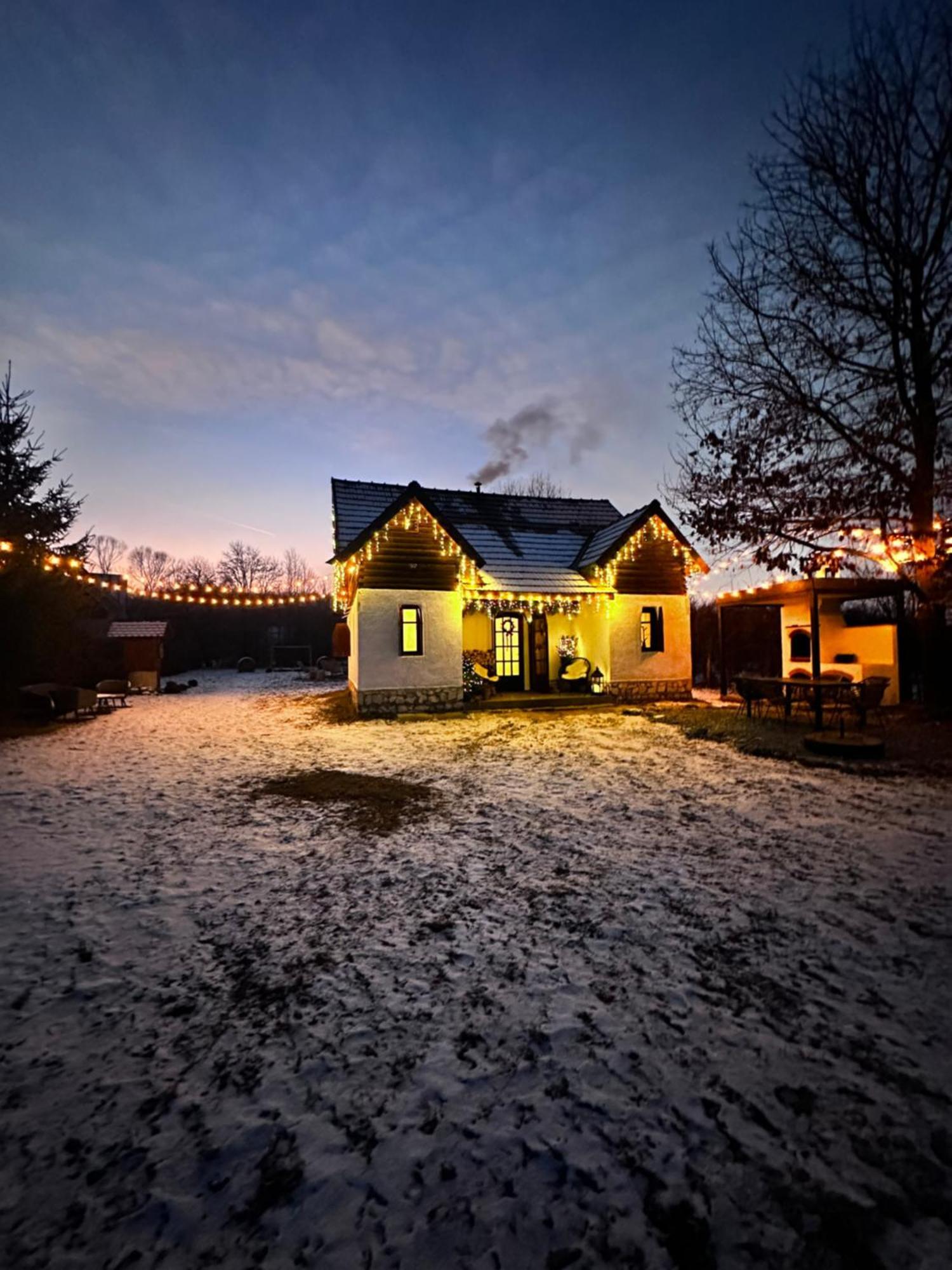 Cuib Din Fagaras Villa Avrig Exterior foto
